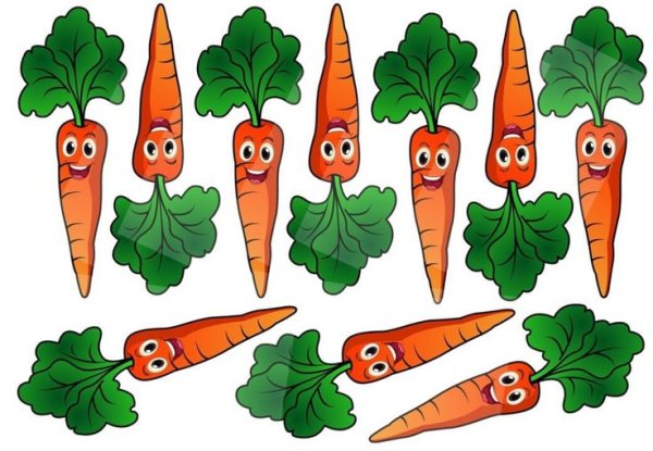 Морковка для дошкольников