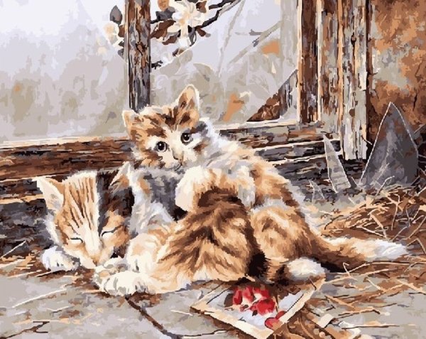 Shirley Deaville котики