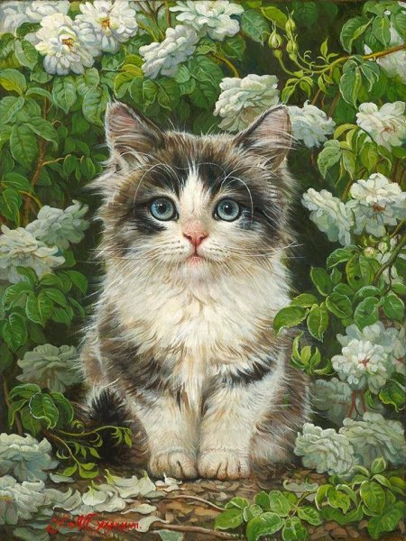 Художница Яна Мовчан кошки