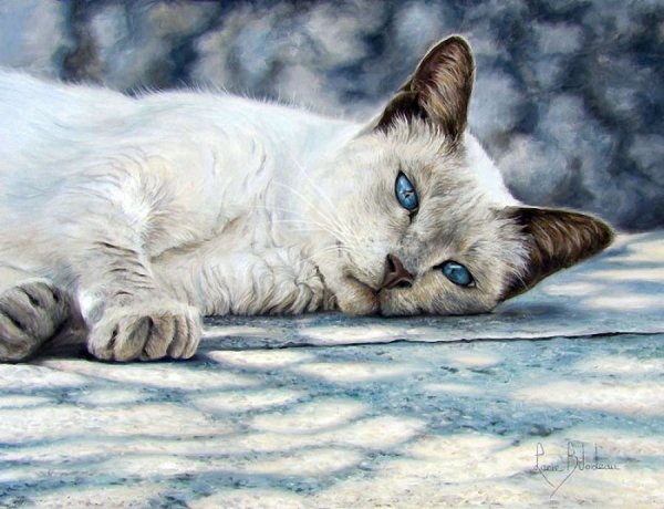 Люси Билодо художник