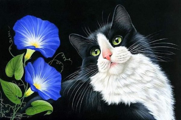 Художник Ирина Гармашова и её кошки