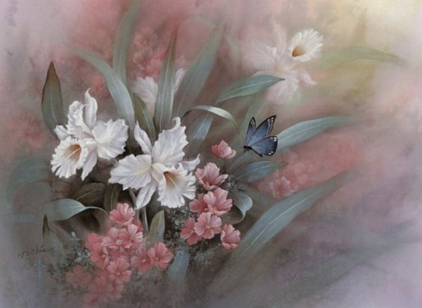 Пионы Marianne Broome