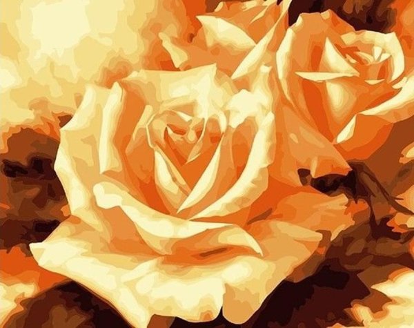 Альберт Вильямс пионы