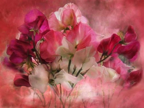 Елена Перминова пионы