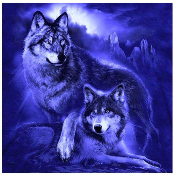 Волк и волчица