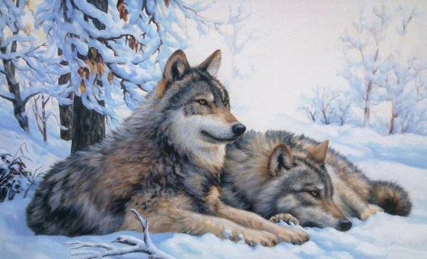 Картина волки