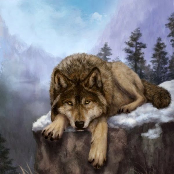 Волк на рабочий стол