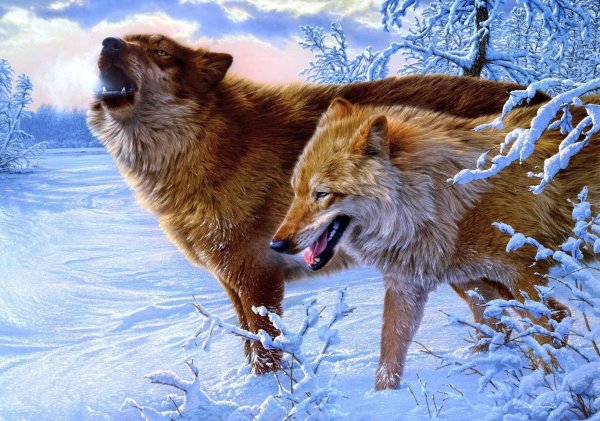 Волчья семья с волчатами