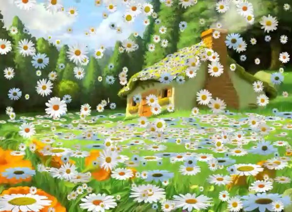 Поляна цветов