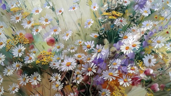 Александр Сердюков летние полевые цветы