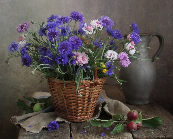 А. А. Гунина натюрморт с васильками