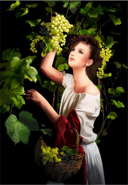 Брюллов Виноградная лоза