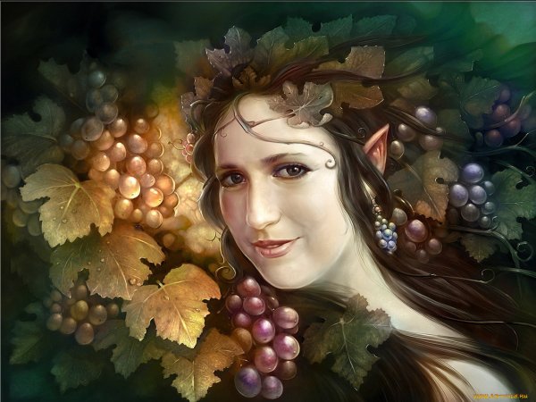 Виноград и девушка арт