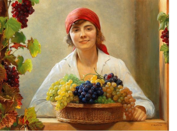 Смуглянка Молдаванка собирает виноград