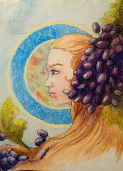 Хаджимурад виноград