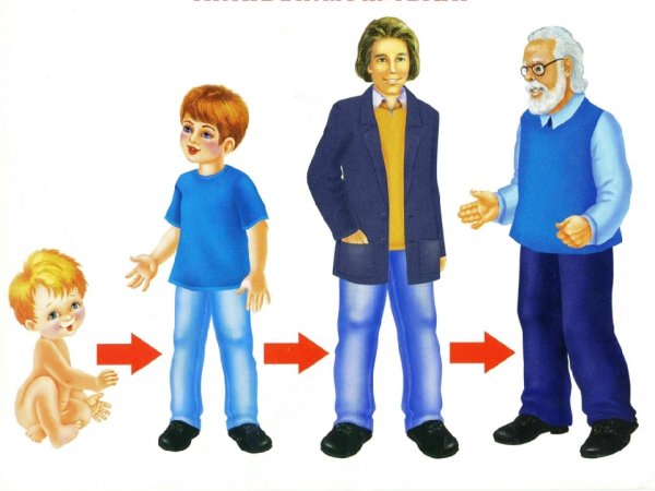 Детство Юность зрелость старость