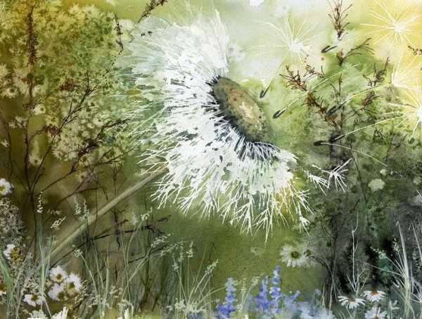 Одуванчики акварелью