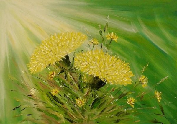 Одуванчики резерваж