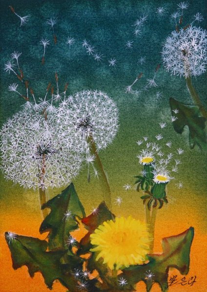 Дэвид Хейфец картины одуванчики