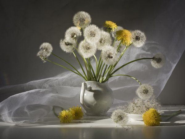 Igor Kolosov Фотонатюрморты