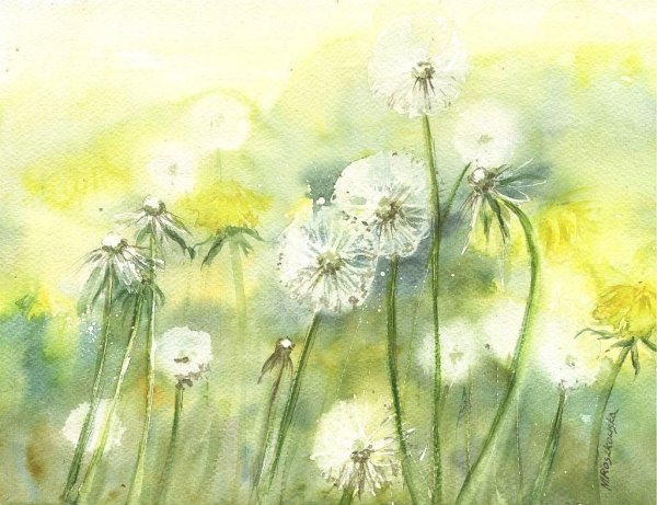 Живопись Ларисса Гамильтон , одуванчики