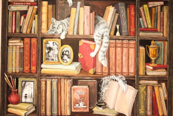 Обои книжные полки