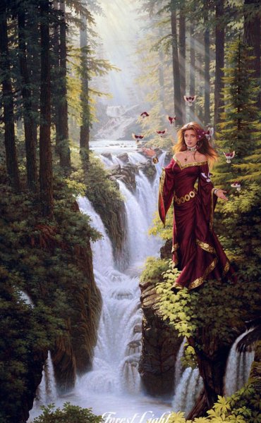 Канадский художник Джонатан Эрл Боузер