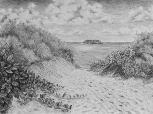 Природа карандашом