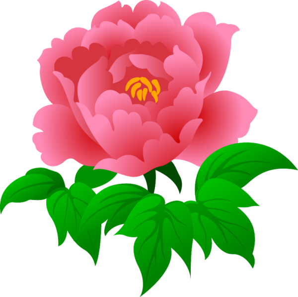 Цветы для детей