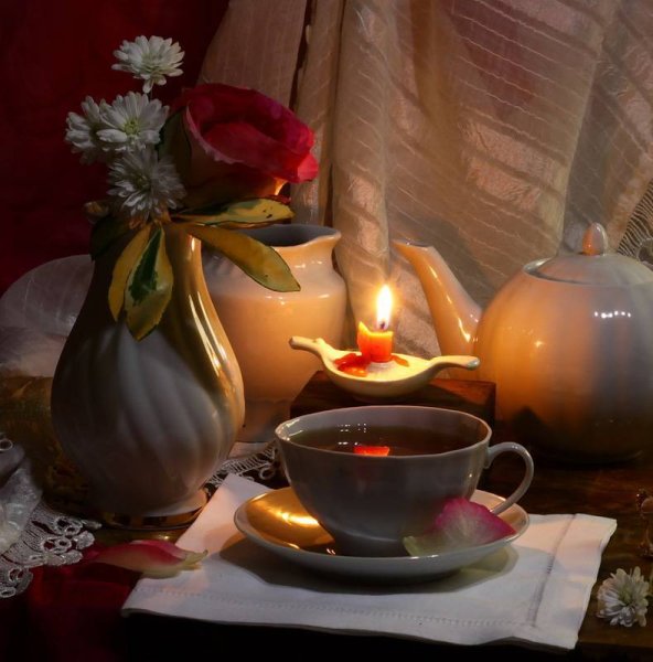 Тткрытка м дтбрыц вечпр