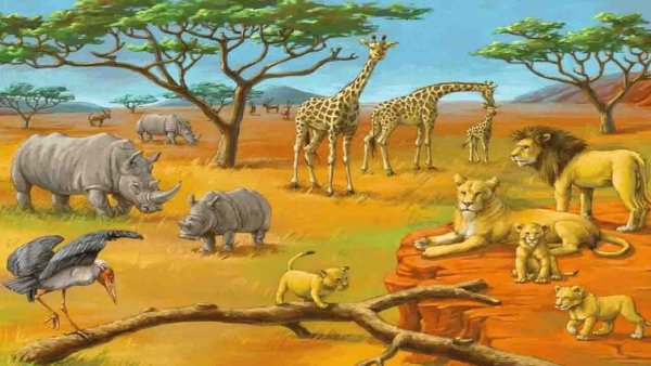 Животные Африки для детей