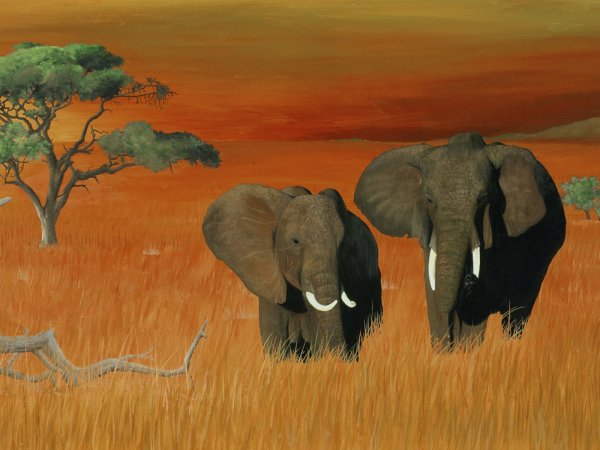 Африка живопись