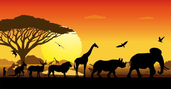 Африка картина без животных