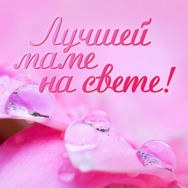 Цветы для мамы