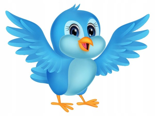 Красивые птички для детей