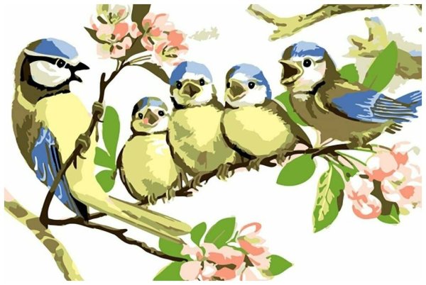 Птица иллюстрация