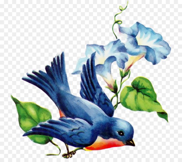 Сказочные птички