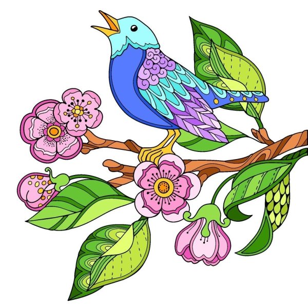 Разукрасить птицу