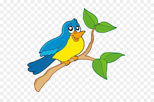 Птички разноцветные мультяшные