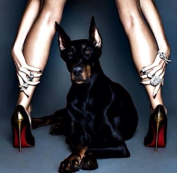 Mario Testino Доберман