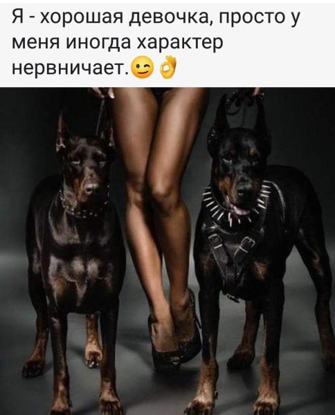 Ирина Шейк с доберманом