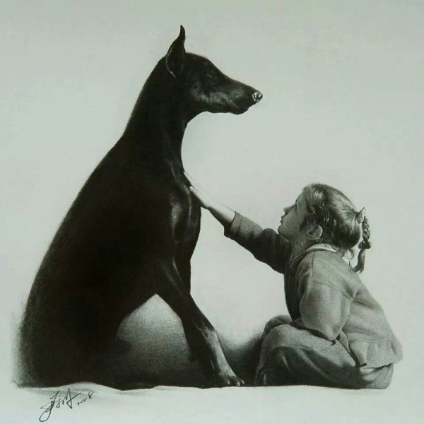 Анастасия Добровольская