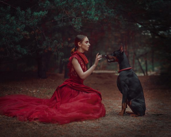 Фэнтези собака Доберман