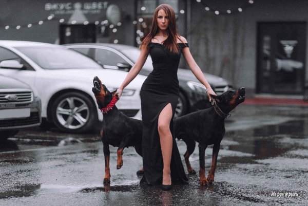 Девушка с доберманом арт