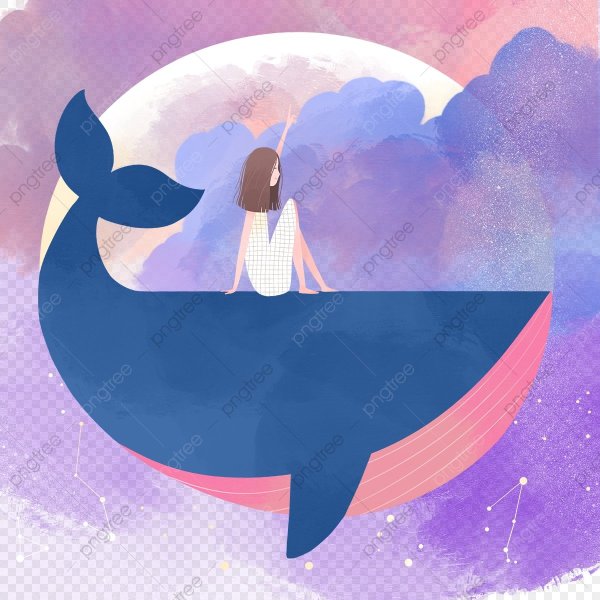 Киты Минимализм