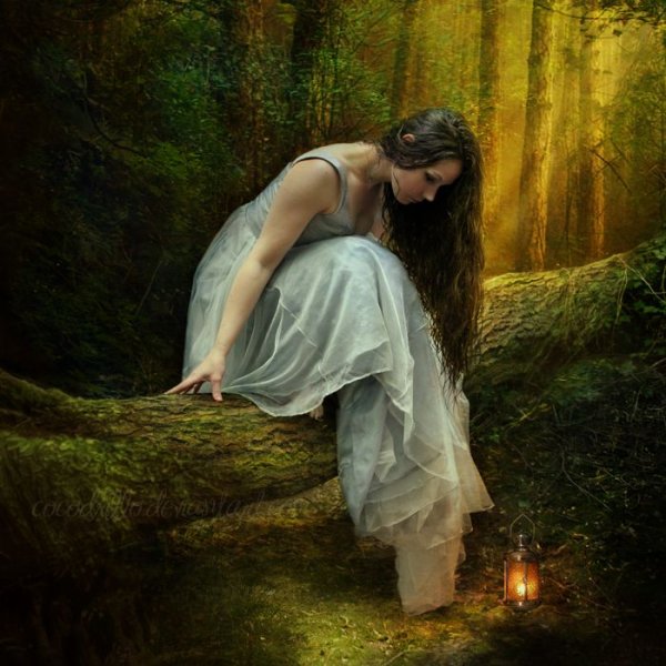 Вирява богиня леса