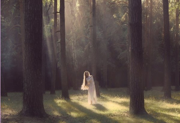 Художник Дональд Золан картины