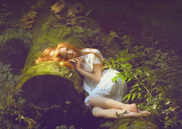 Таинственная природа