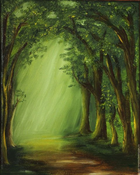 Сказочные Лесные пейзажи