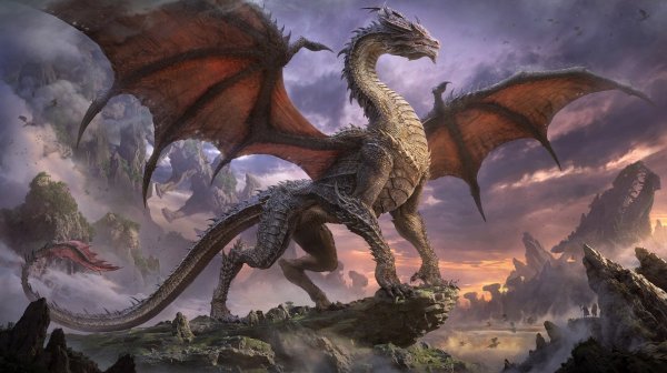 Красивый дракон